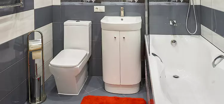 Hansgrohe Shaving Mirror Red Deer